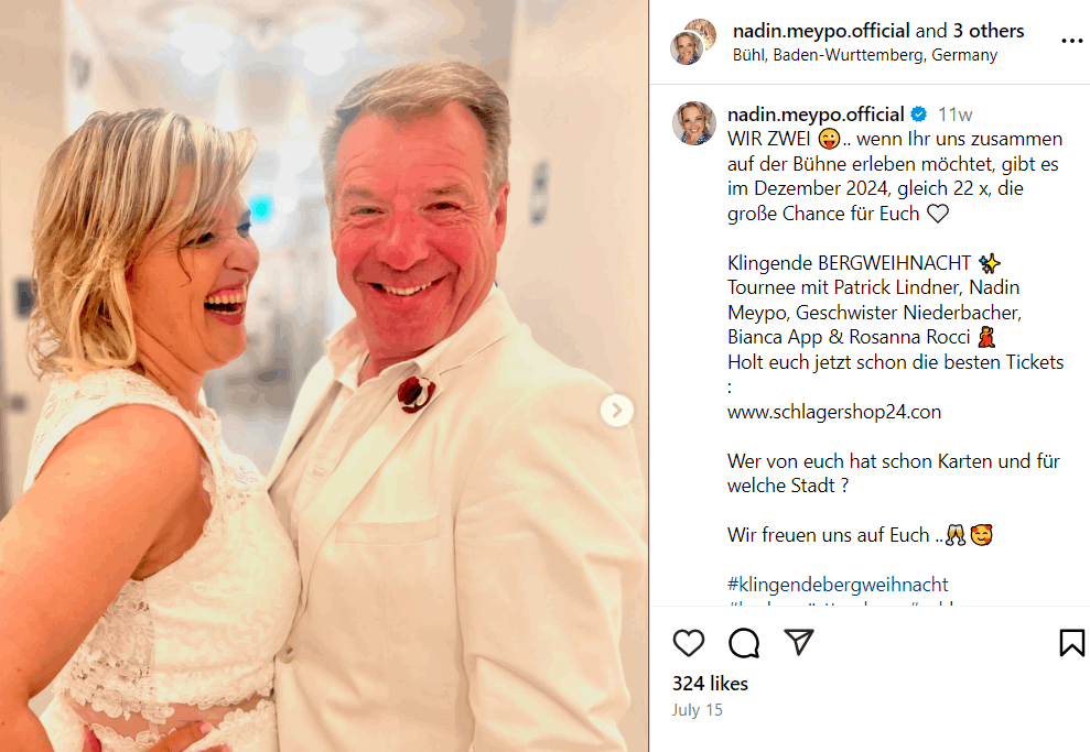 Patrick Lindner Vermögen