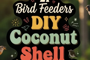 21 Bird Feeders DIY Coconut Shell Ideas