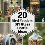 20 Bird Feeders DIY Glass Bottle Ideas